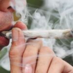 Diners in California can smoke cannabis at Dutch-style cafes starting next year