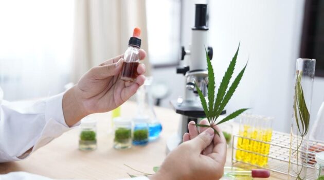 Cannabis Compounds Show ‘Promising Potential As Anti-Cancer Agents’