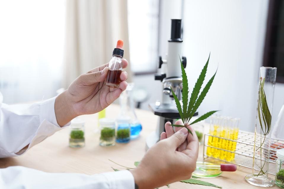 Cannabis Compounds Show ‘Promising Potential As Anti-Cancer Agents’