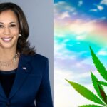 Kamala Harris Adds ‘Legalize Recreational Marijuana’ to To-Do List