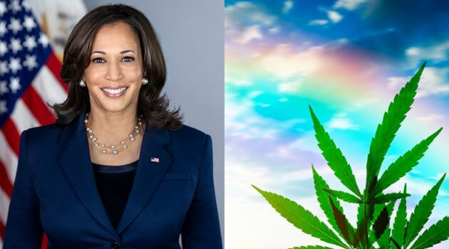 Kamala Harris Adds ‘Legalize Recreational Marijuana’ to To-Do List