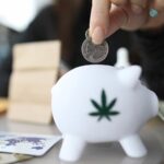 Delaware Governor Signs Bill Allowing Banks to Provide Financial Services to Cannabis Industry