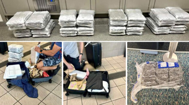 90 Pounds of Cannabis Trafficked into Orlando International Airport Seized