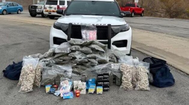 Man stopped for going 10 mph over speed limit found with 80 lbs of marijuana, 4,000 pills