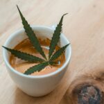 Governor Newsom Has Signed the Bill to Legalize Cannabis Cafes Across California