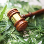 Feds stand firm on nationwide cannabis prohibition in appeals court