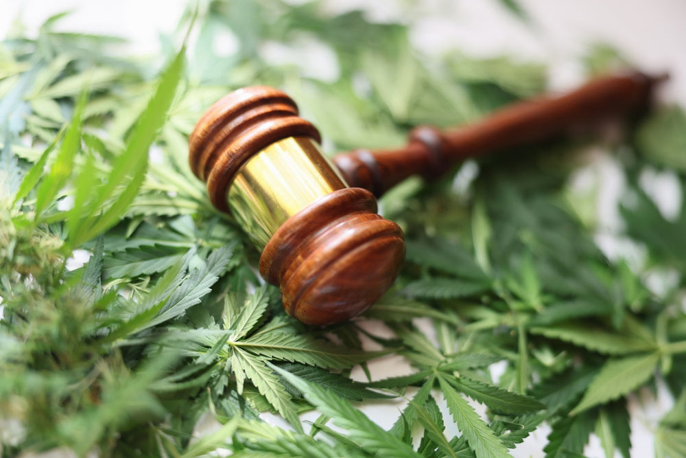 Feds stand firm on nationwide cannabis prohibition in appeals court