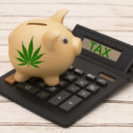 Report: States struggle to balance revenue, risks around cannabis taxation