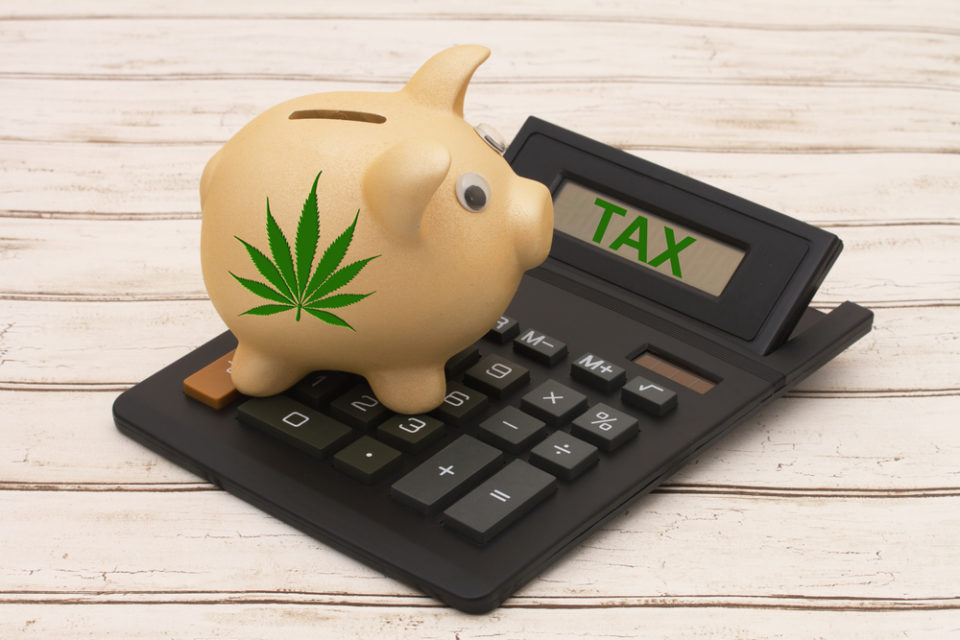 Report: States struggle to balance revenue, risks around cannabis taxation