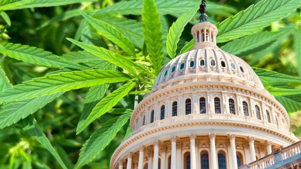 Cannabis “Civil War” Continues As The US Cannabis Counsel Rejects Hemp Applicants To Its Board