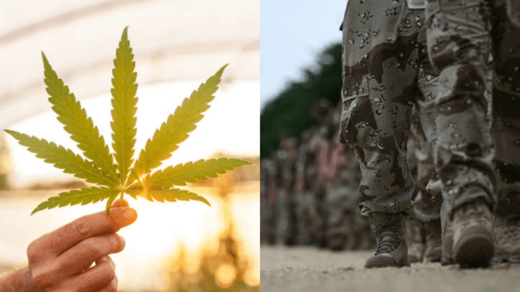 Helping Texas veterans with PTSD: Goodblend offers free medical marijuana prescriptions