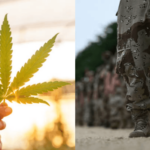 Helping Texas veterans with PTSD: Goodblend offers free medical marijuana prescriptions