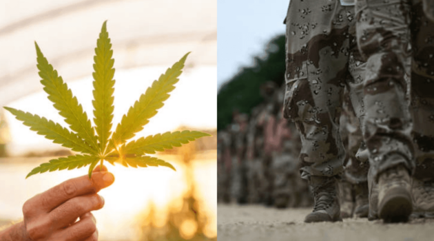 Helping Texas veterans with PTSD: Goodblend offers free medical marijuana prescriptions