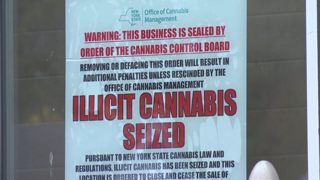 Illicit cannabis crackdown: Nearly 20 locations reportedly padlocked