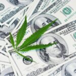 Cannabis Sales Hit Record In October, Market Data Show