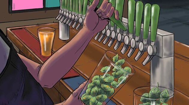 NYC Cannabis Stores Don’t Have a Lot in Common With Wine Bars and Brewpubs — Yet