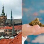 Czech General Practitioners To Prescribe Medical Marijuana For Chronic Pain With Insurance Coverage Starting 2025