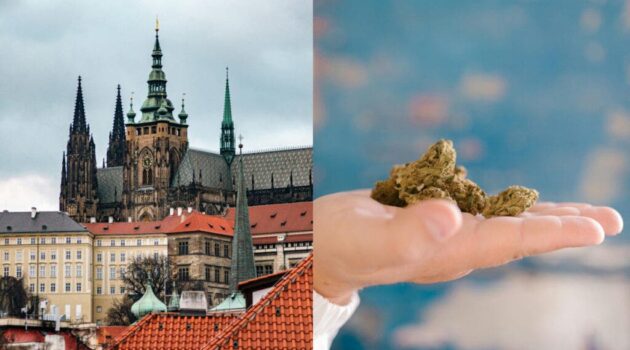 Czech General Practitioners To Prescribe Medical Marijuana For Chronic Pain With Insurance Coverage Starting 2025