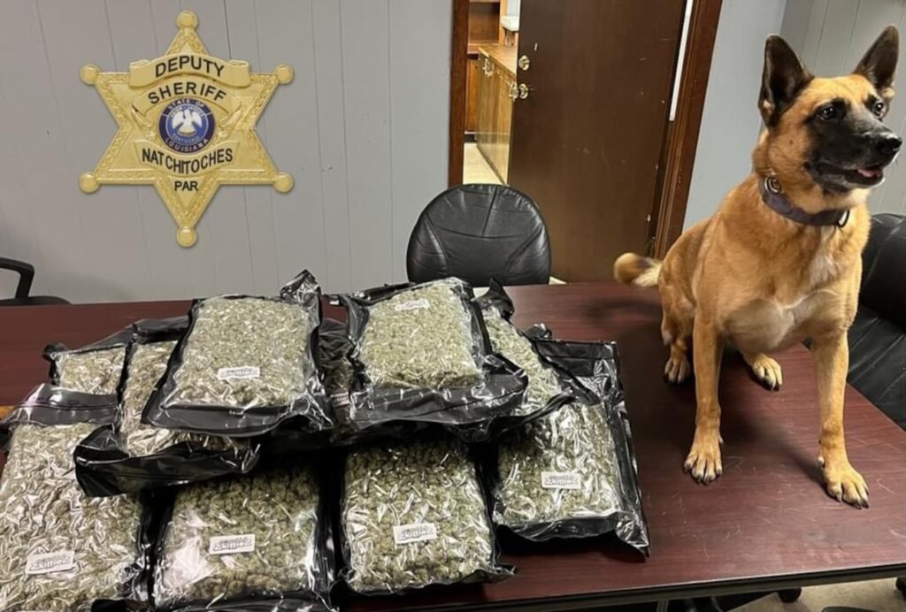 18 pounds of marijuana seized from 18-wheeler during traffic stop in Natchitoches