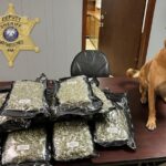 18 pounds of marijuana seized from 18-wheeler during traffic stop in Natchitoches