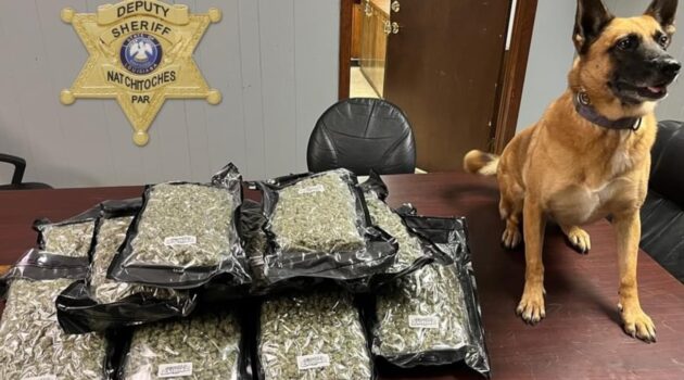 18 pounds of marijuana seized from 18-wheeler during traffic stop in Natchitoches