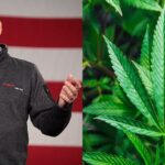 Trump Says His Secretary Of State Pick Marco Rubio Is 'Powerful Voice For Freedom' – But What About Cannabis?