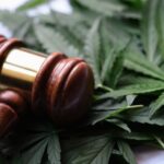 Cannabis researcher sues DEA to halt rescheduling hearing