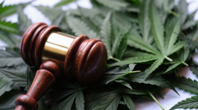 Cannabis researcher sues DEA to halt rescheduling hearing