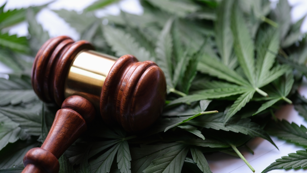 Cannabis researcher sues DEA to halt rescheduling hearing