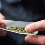 FDA greenlights study of marijuana as PTSD treatment for veterans