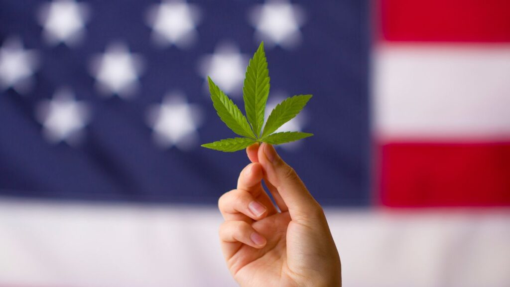 Marijuana use across all age groups on the rise decade after first states legalization