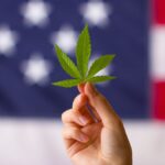 Marijuana use across all age groups on the rise decade after first states legalization