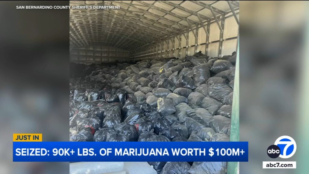 Investigators haul away more than 45 tons of marijuana from San Bernardino County property