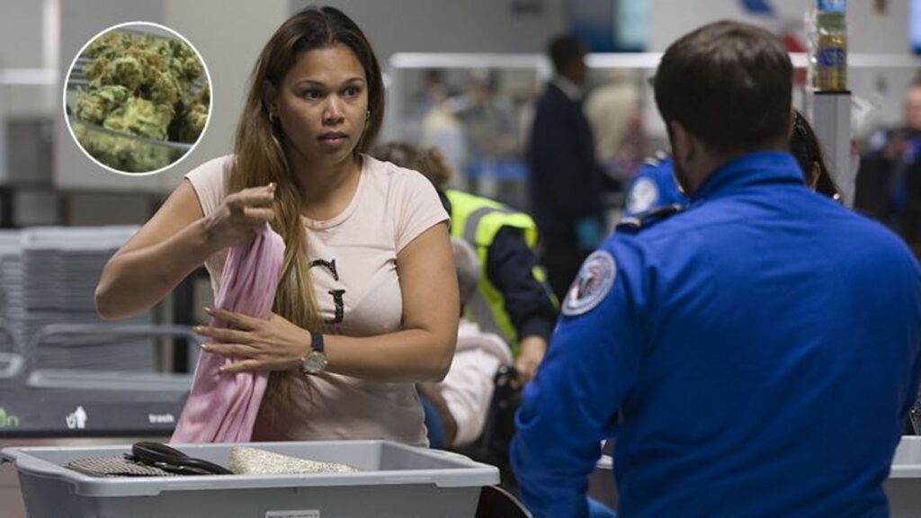 Traveling for the holiday? Here's what the TSA says about flying with marijuana