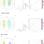 Uncovering metabolic dysregulation in schizophrenia and cannabis use disorder through untargeted plasma lipidomics