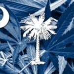 South Carolina Lawmaker Files Medical Cannabis Legalization Bill