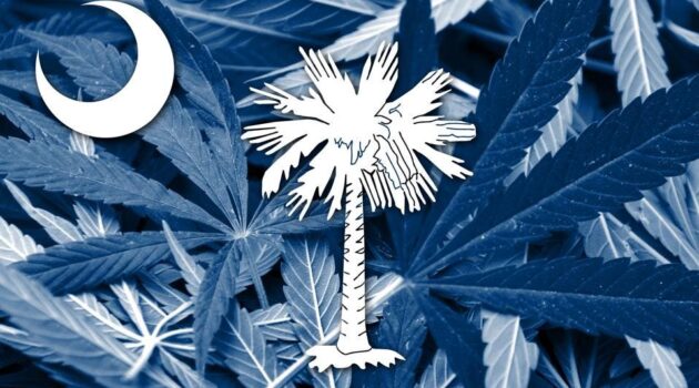 South Carolina Lawmaker Files Medical Cannabis Legalization Bill