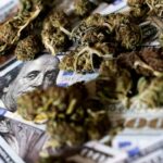 Marijuana MSO Standard Wellness secures $10 million loan