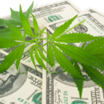 NJ cannabis regulators raise social equity fees; launch on-site consumption licenses