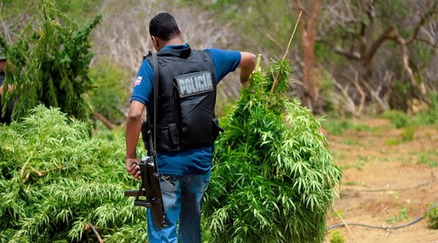 Tennessee Authorities Forced to Pay $735,000 for Illegal Hemp Seizure