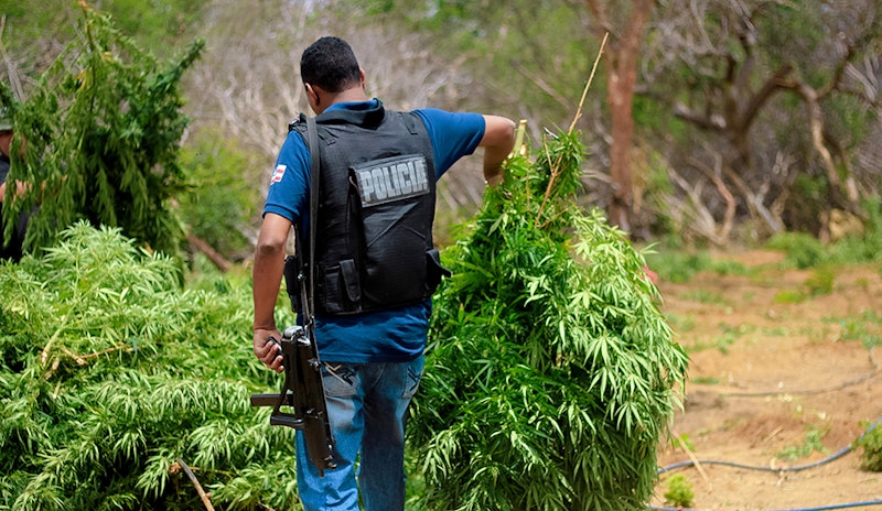 Tennessee Authorities Forced to Pay $735,000 for Illegal Hemp Seizure