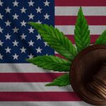 Judge Calls DEA Subpoena Request ‘Blunder,’ Rejects 3 of 4 for Cannabis Rescheduling Hearing