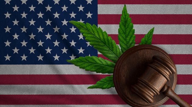 Judge Calls DEA Subpoena Request ‘Blunder,’ Rejects 3 of 4 for Cannabis Rescheduling Hearing