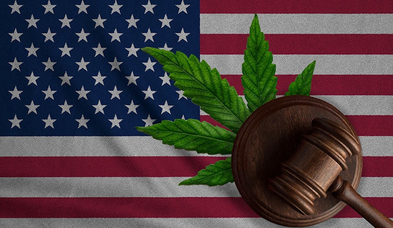 Judge Calls DEA Subpoena Request ‘Blunder,’ Rejects 3 of 4 for Cannabis Rescheduling Hearing