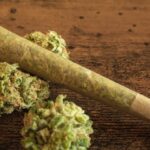 Cannabis Use Linked to Epigenetic Changes, Study Finds