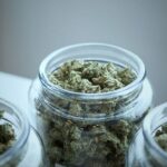 NYS legal cannabis sales to hit $1 billion by year’s end