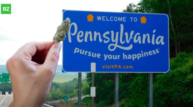 Pennsylvania Lawmakers Push To Legalize Marijuana Yet Again, Here's Who's Behind Latest Attempt