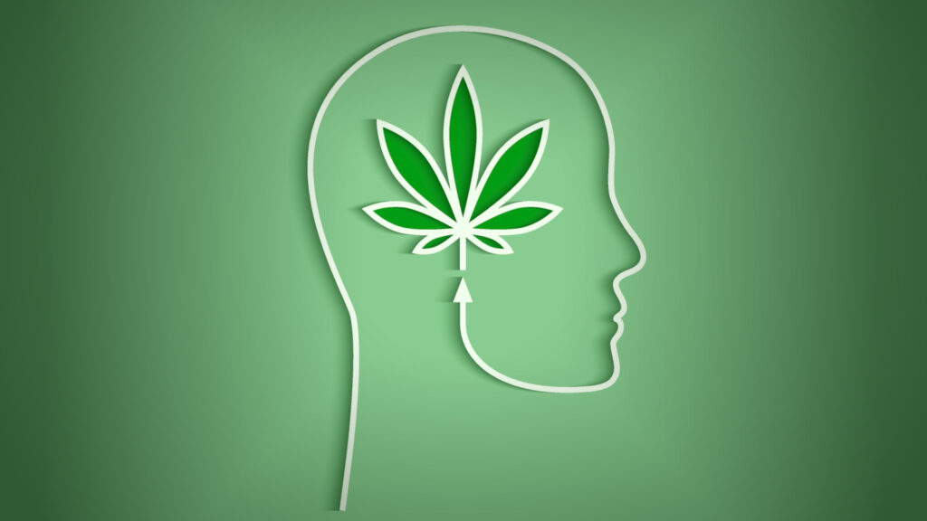 Podcast: Cannabis and Severe Mental Health Disorders