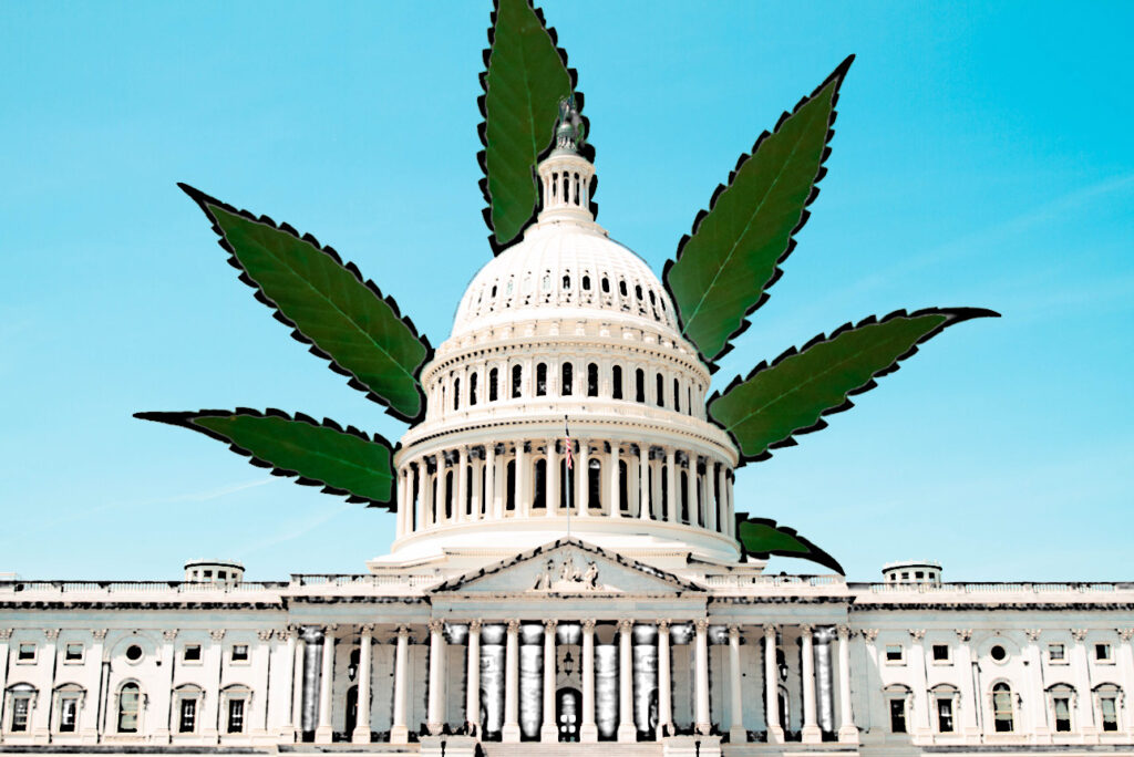 Dems Ask Biden For Last-Minute Action On Marijuana