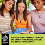 "The Tea on THC" campaign aims to educate about dangers of high THC cannabis in Colorado